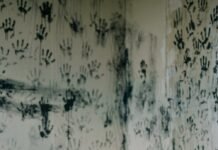 Discover Top Misconceptions about Identity Theft to Curb the Tragedy In Advance