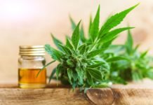 What Is CBG Hemp Flower and How Does It Make You Feel? CBD
