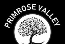 Finding information on Natural and Organic Skin Care – Primrose Valley Naturals. Finding information on Natural and Organic Skin Care - Primrose Valley Naturals.