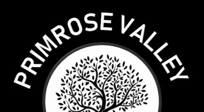 Finding information on Natural and Organic Skin Care – Primrose Valley Naturals. Finding information on Natural and Organic Skin Care - Primrose Valley Naturals.
