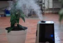 Essential Oils: How to Reap the Benefits Essential Oils How to Reap the Benefits