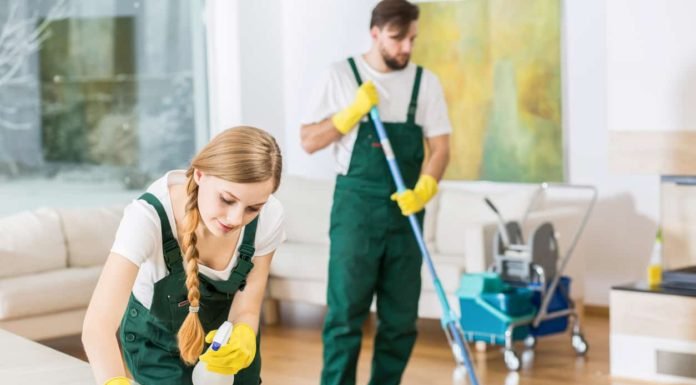 Why Hire a Professional Cleaner for End-of-Lease Cleaning? Professional Cleaner for End-of-Lease Cleaning