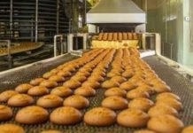 Wholesale Cake Shop Brisbane: Is the Investment Worth It? Wholesale Cake Shop Brisbane