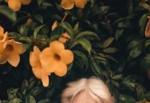 It’s Time To Revive Your Living Surroundings With Aromatic Flowers!!! order flowers online