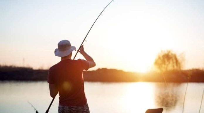 Ad: Top 5 Hobbies That Creative Individuals Can Pursue In 2021 Hobby