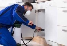 5 Pests That Thrive in the Summer 5 Pests That Thrive in the Summer