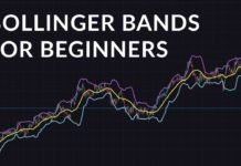 What Are Bollinger Bands and How Do They Work? What Are Bollinger Bands and How Do They Work?