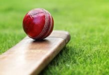 You Need To About FANTASY CRICKET