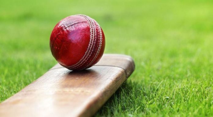 You Need To About FANTASY CRICKET