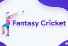 Fantasy cricket how does it work?