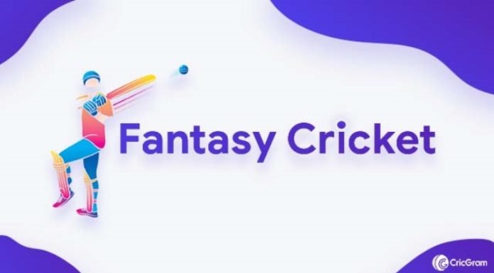 Fantasy cricket how does it work?