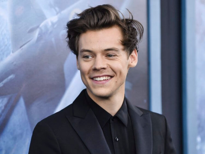 Harry Styles - biography, age, height, relationships