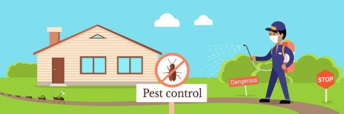Pest Control Pest Control