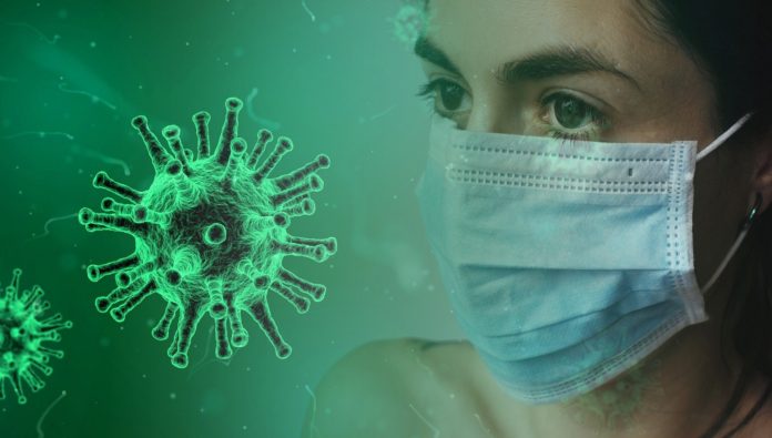 coronavirus-4914028_1920 Pandemic