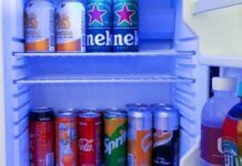 Are Mini-Fridges For Camping Worth It? Are Mini-Fridges For Camping Worth It