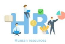 HR Directors and Chief Human Resources Officers Should Use These Effective Tools to Increase Productivity HR Directors and Chief Human Resources Officers Should Use