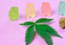 3 Steps to Responsible CBD Consumption 3 Steps to Responsible CBD Consumption