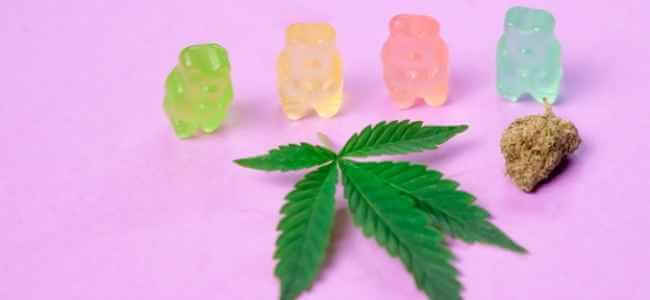 3 Steps to Responsible CBD Consumption 3 Steps to Responsible CBD Consumption