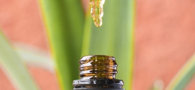 7 Tips on Picking CBD Products Online for New Users 7 Tips on Picking CBD Products Online for New Users