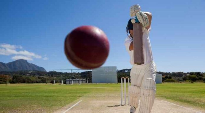 Here’s How Playing Fantasy Cricket Can Make You Earn Big How Playing Fantasy Cricket Can Make You Earn Big