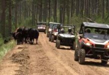 UTV Trails in Southern California UTV Trails in Southern California