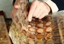 3 Things You Should Absolutely Know About Coin Collecting 3 Things You Should Absolutely Know About Coin Collecting