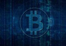 How to Plan Your Crypto Investments How to Plan Your Crypto Investments