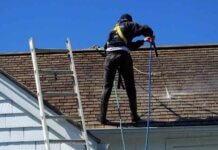Why Roof Cleaning Services Are Important Aspects of Home Maintenance Roof Cleaning Service