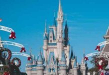 Your Guide to Disney Vacation Club Timeshares Your Guide to Disney Vacation Club Timeshares