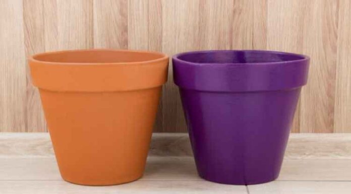 4 Things You Need To Look For When You Buy A Ceramic Pot 4 Things You Need To Look For When You Buy A Ceramic Pot