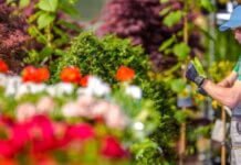 What Tools Do You Need to Start a Landscaping Business? Landscaping Business