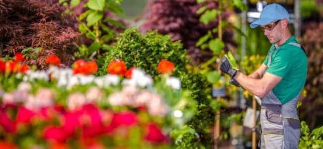 What Tools Do You Need to Start a Landscaping Business? Landscaping Business