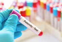 The Average Paternity Test Cost- What You Need to Know The Average Paternity Test Cost- What You Need to Know