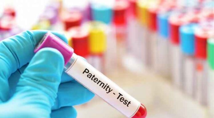 The Average Paternity Test Cost- What You Need to Know The Average Paternity Test Cost- What You Need to Know