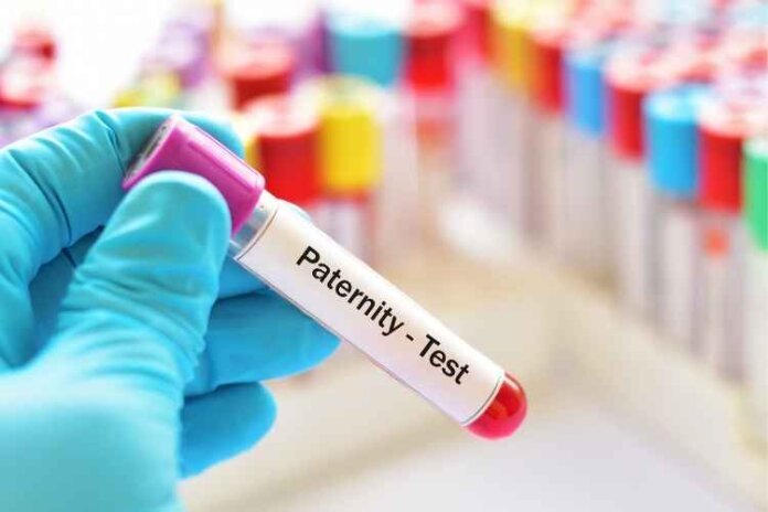 The Average Paternity Test Cost- What You Need to Know