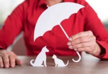 Check if Your Kitty Has Any of These 5 Feline Dental Problems Dental insurance for pets