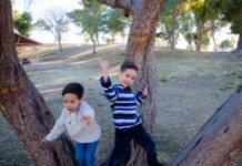 What is the Actual Job of Foster Carer? What is the Actual Job of Foster Carer