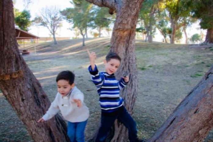 What is the Actual Job of Foster Carer What is the Actual Job of Foster Carer