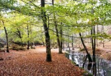 10 Ideas for Landscaping Your Yard This Spring 10 Ideas for Landscaping Your Yard This Spring