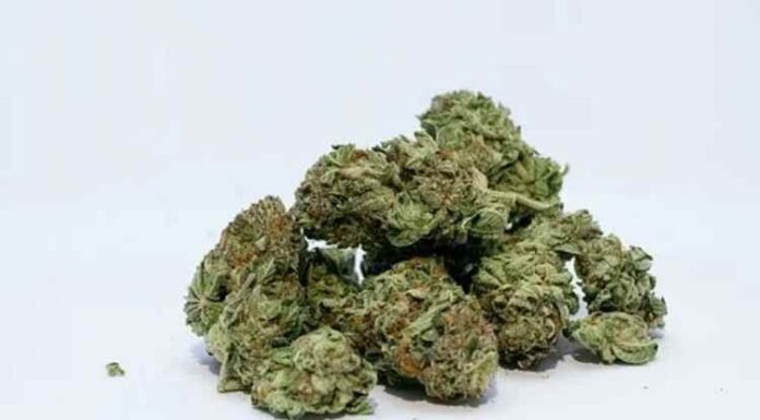 3 THC Beverages You Should Totally Try 3 THC Beverages You Should Totally Try