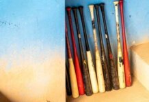 5 Tips for Choosing the Best Baseball Bat 5 Tips for Choosing the Best Baseball Bat
