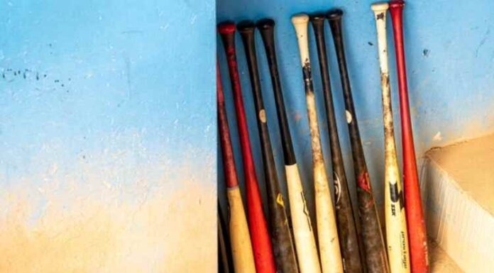 5 Tips for Choosing the Best Baseball Bat 5 Tips for Choosing the Best Baseball Bat