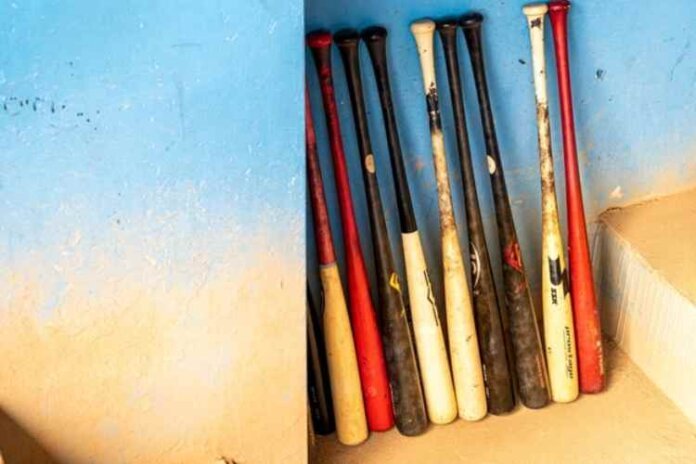 5 Tips for Choosing the Best Baseball Bat