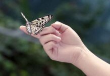 What is an art installation? What is an art installation