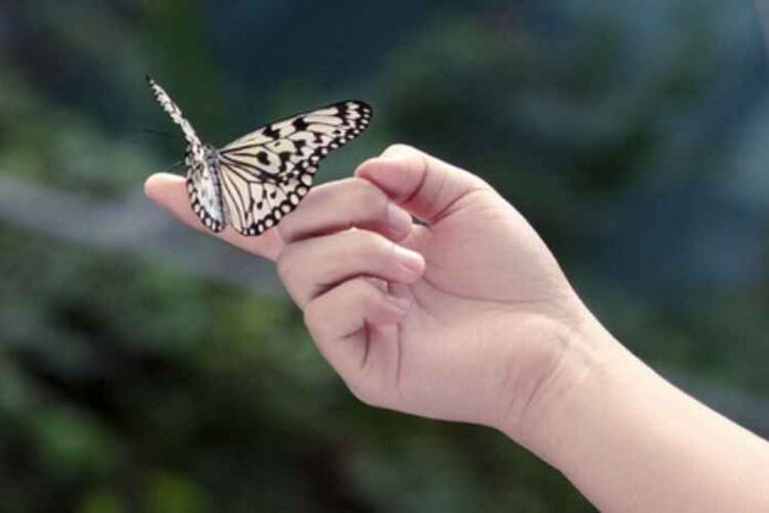 What is an art installation