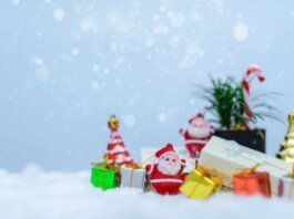 What Are The Best Christmas Gift Ideas For Your Partner