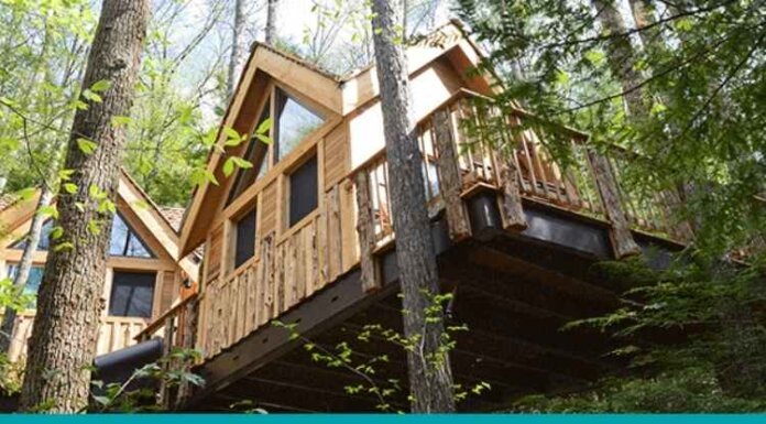 Copa Treehouse Cincinnati Ohio Reviews Copa Treehouse Cincinnati Ohio Reviews