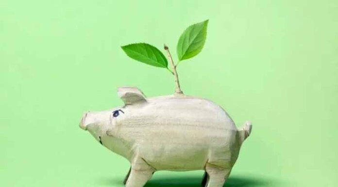 How To Get Started in Sustainable Investment Management How To Get Started in Sustainable Investment Management