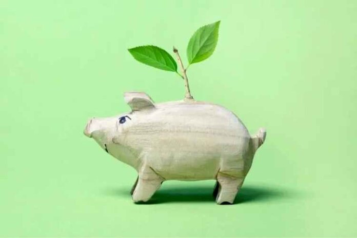 How To Get Started in Sustainable Investment Management