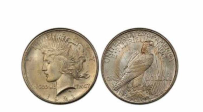 Rare Coins 101: The History and Value of The Peace Dollar Coins Rare Coins 101